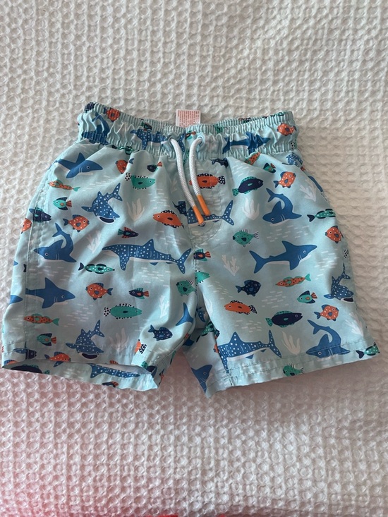 Cat & Jack Other - Kids Swim Shorts